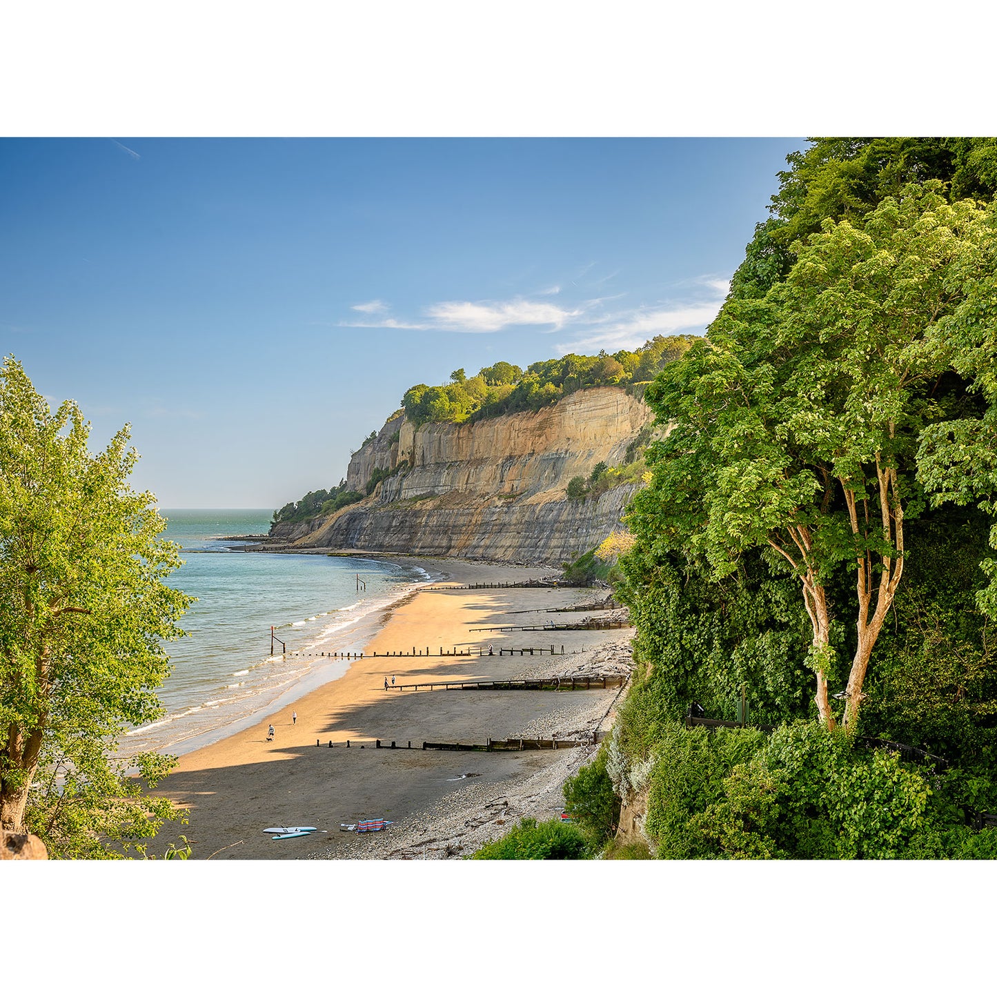 A coastal landscape featuring a sandy beach, cliffs, and green vegetation. A few scattered people can be seen along the shore and in the water under a clear blue sky, reminiscent of Shanklin Beach by Available Light Photography in our gallery.