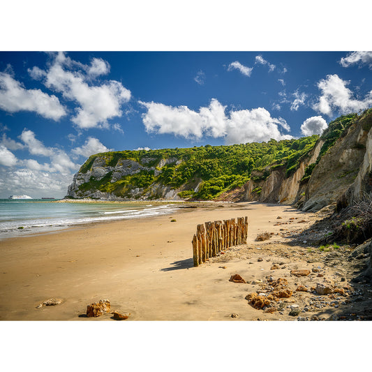 Sandy beach with scattered rocks, a row of wooden posts, cliffs covered in greenery, and a distant ferry on the ocean under a cloudy blue sky. Image number: 2882. Product Name: Whitecliff Bay by Available Light Photography.