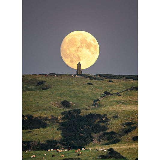 A large, full moon rises behind a solitary tower on a grassy hill, with cows grazing in the foreground. The serene and picturesque scene is beautifully captured in Image number 2679, titled "Moonrise at St. Catherine's Oratory," by Available Light Photography.