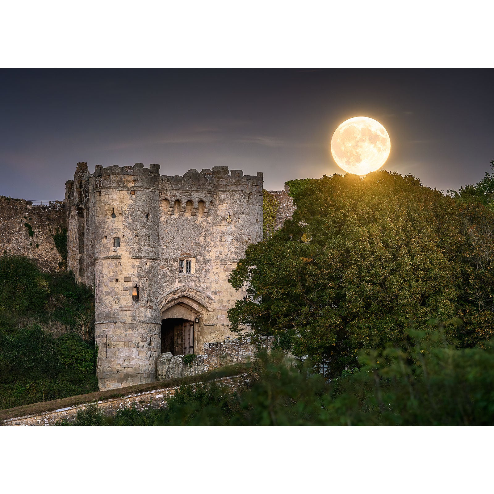 The product "Moonrise, Carisbrooke Castle" by Available Light Photography captures a historic stone castle partially illuminated by a bright full moon rising behind it. The scene is elegantly framed by surrounding trees and a dark night sky.