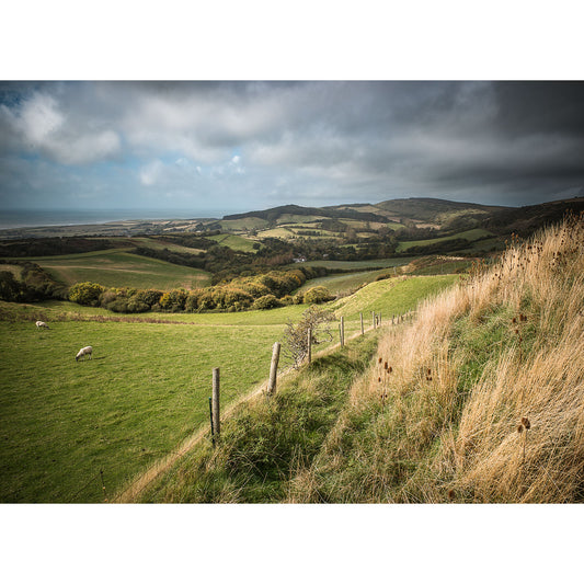 Image number 2750, titled "View over Brighstone" by Available Light Photography, captures rolling hills under a cloudy sky, showcasing grassy fields, a rustic wooden fence, and peacefully grazing sheep.