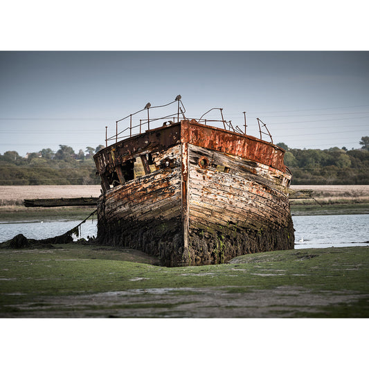 The photograph, image number 2547, offered by Available Light Photography under the product name "Yellowfin, River Medina," depicts an old rusted shipwreck resting on a muddy shoreline with lush greenery and towering trees in the background, yet it doesn't provide sufficient detail for identifying relevant SEO keywords.