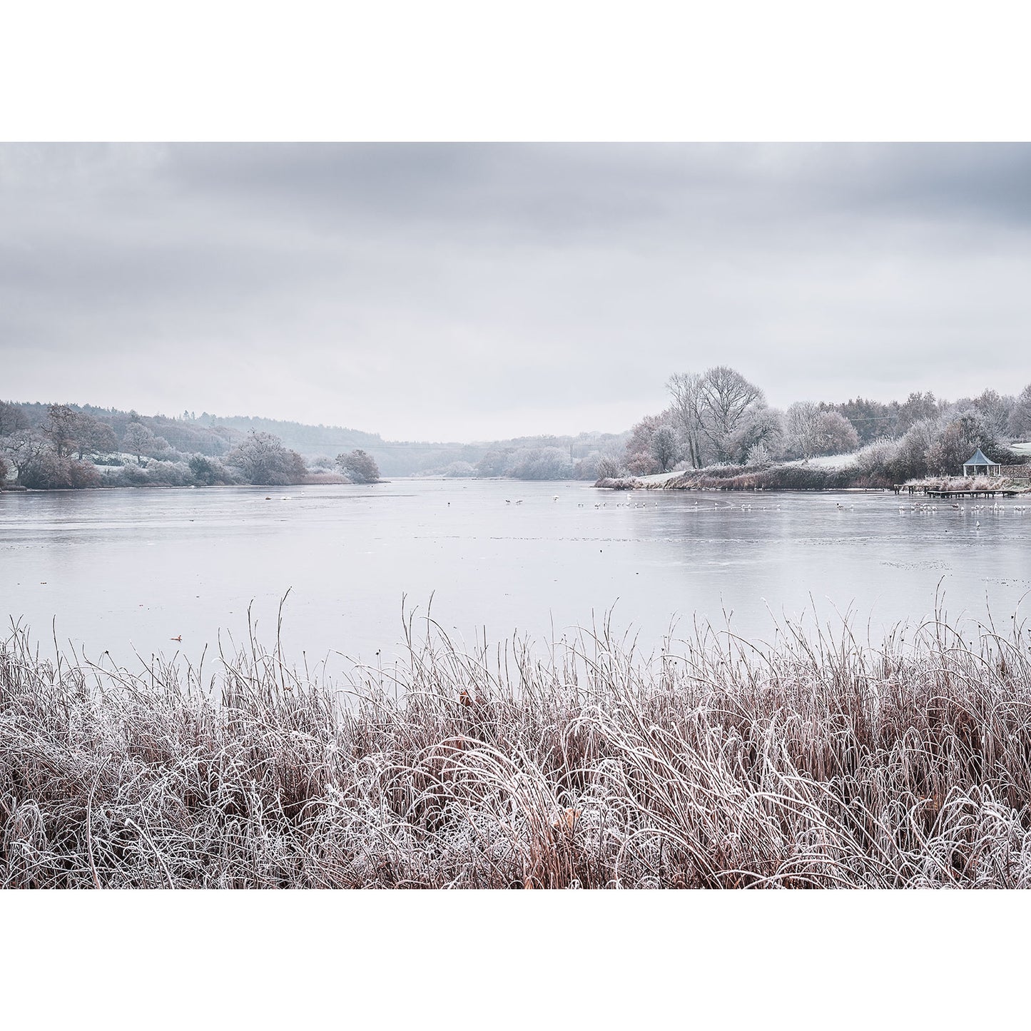 The Old Mill Pond, Wootton Creek by Available Light Photography captures a tranquil yet melancholic beauty with its depiction of a frosty lakeside under overcast skies, framed by barren trees and frost-kissed grasses in the foreground.