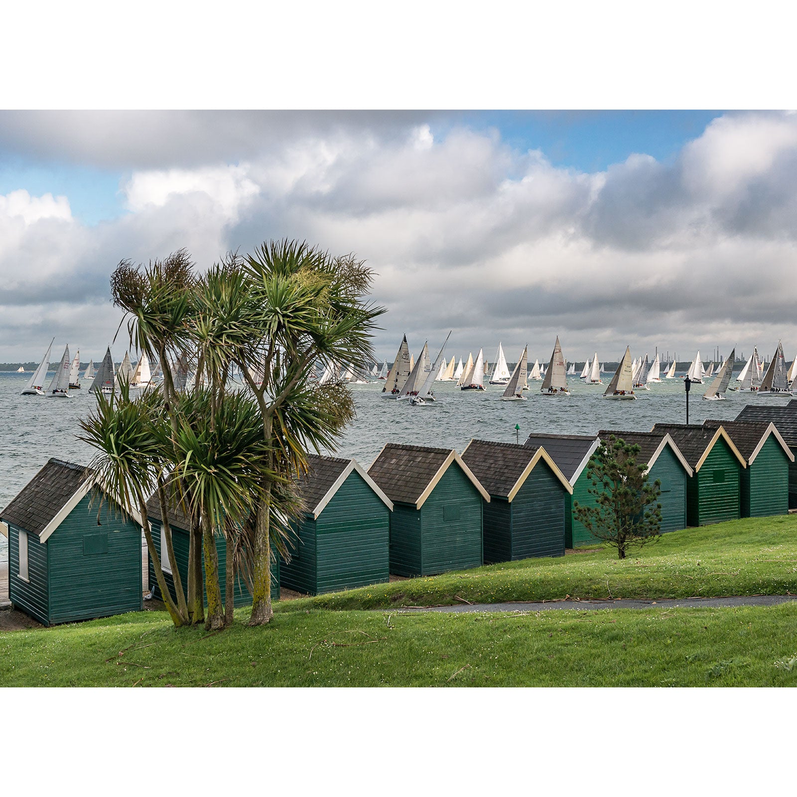 Sailboats racing on the water behind a row of green beach huts, with a palm tree in the foreground, photographed by Available Light Photography for the Round the Island Race in Gurnard.