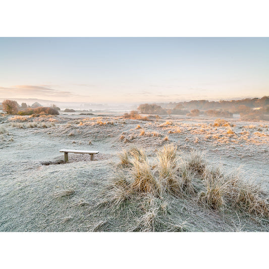 A Frosty Morning, The Duver landscape on the Isle of Wight with a solitary bench overlooking a field covered in frost taken by Available Light Photography.