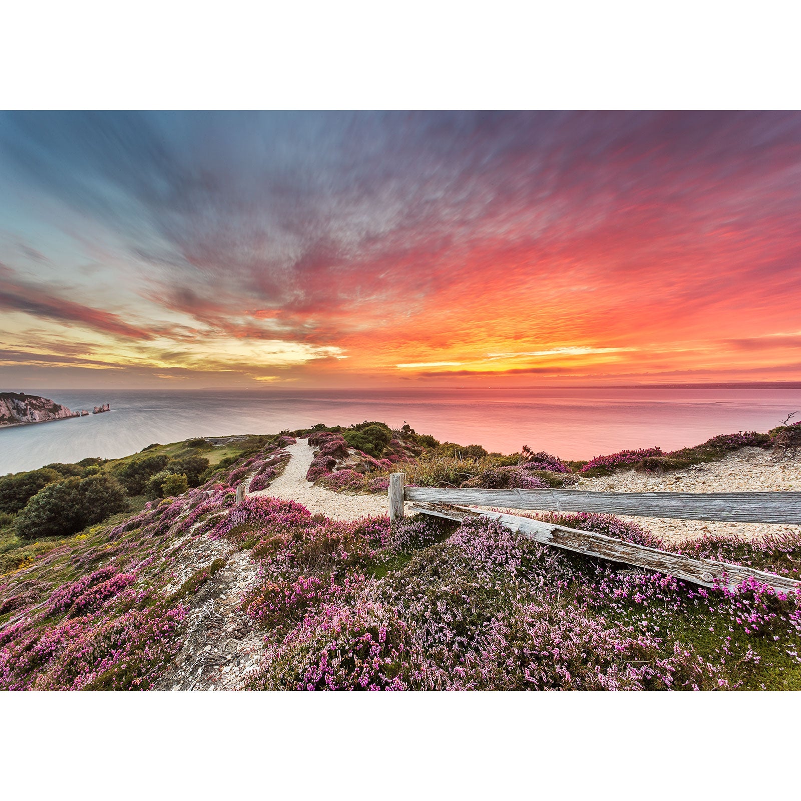 A scenic coastal sunset on the Isle of Gascoigne captured by Headon Warren with vibrant skies, a wooden pathway, and wildflowers in bloom. Photo by Available Light Photography.