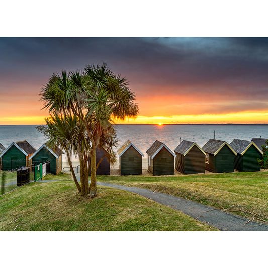 Sunset over a coastal scene with beach huts and a palm tree on the Gurnard in the foreground by Available Light Photography.