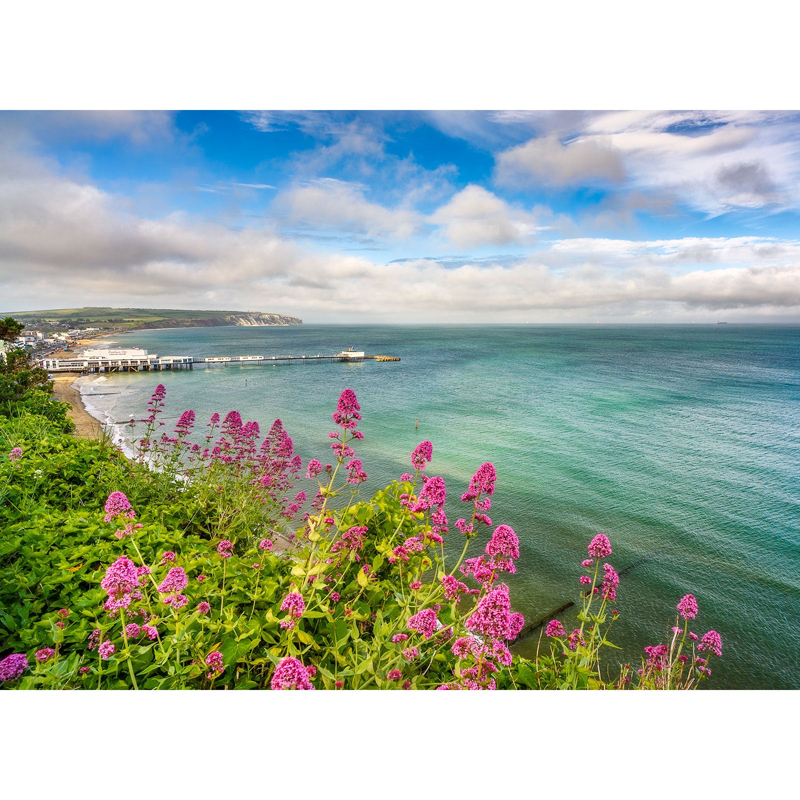 Coastal landscape with purple flowers in the foreground, a pier extending into the sea near Gascoigne Isle, and cliffs in the distance under a partly cloudy sky taken by Available Light Photography at Sandown Bay.