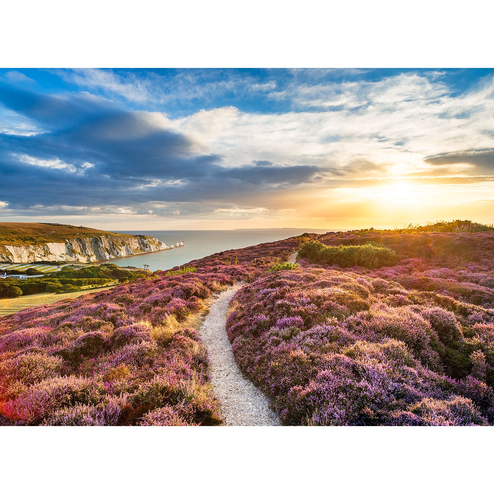 A scenic coastal path on the Isle surrounded by blooming heather at sunset, captured beautifully by Available Light Photography's Headon Warren.