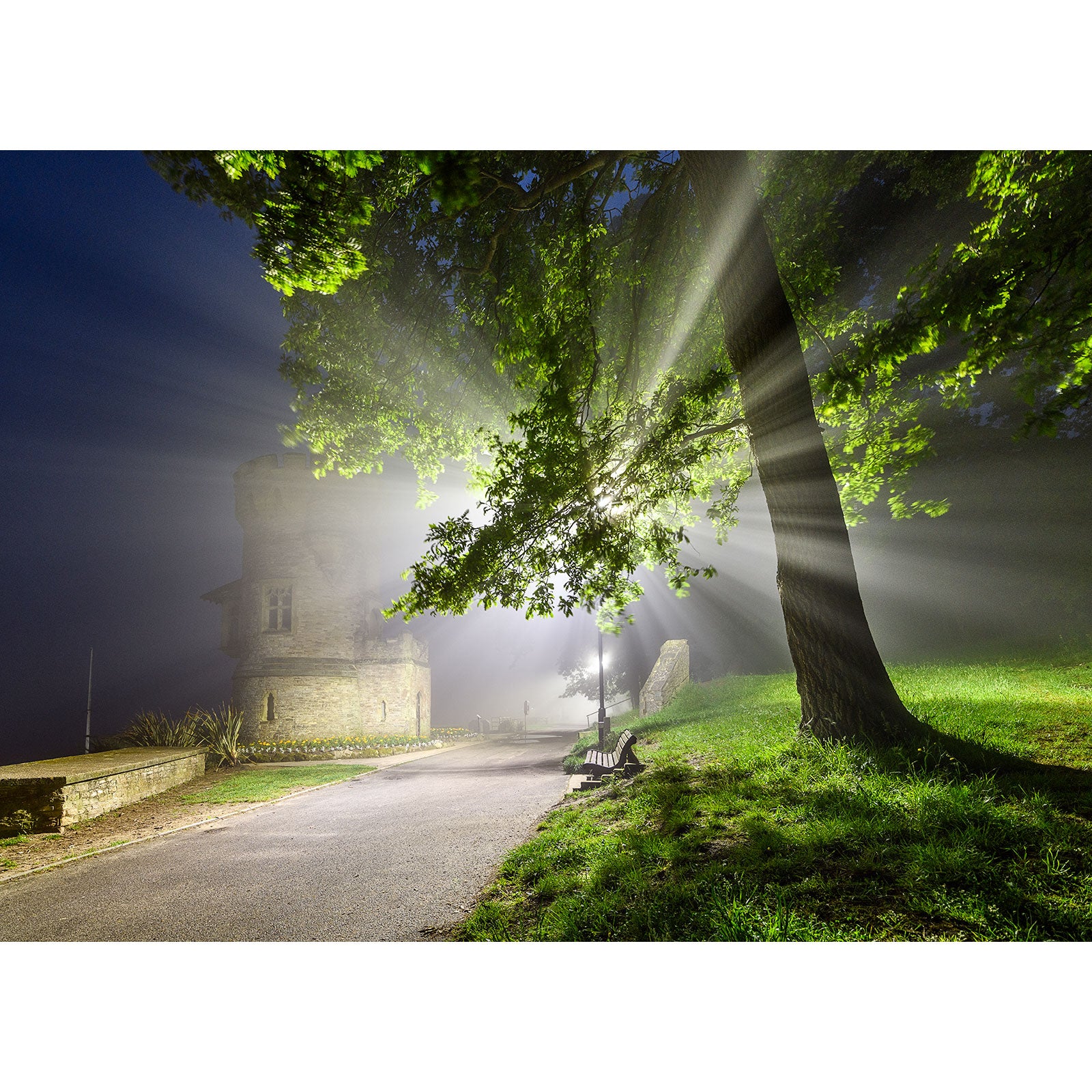 A Misty Evening scene on the Isle of Gascoigne, with a ray of light streaming through a tree beside a path near an old stone building by Available Light Photography.