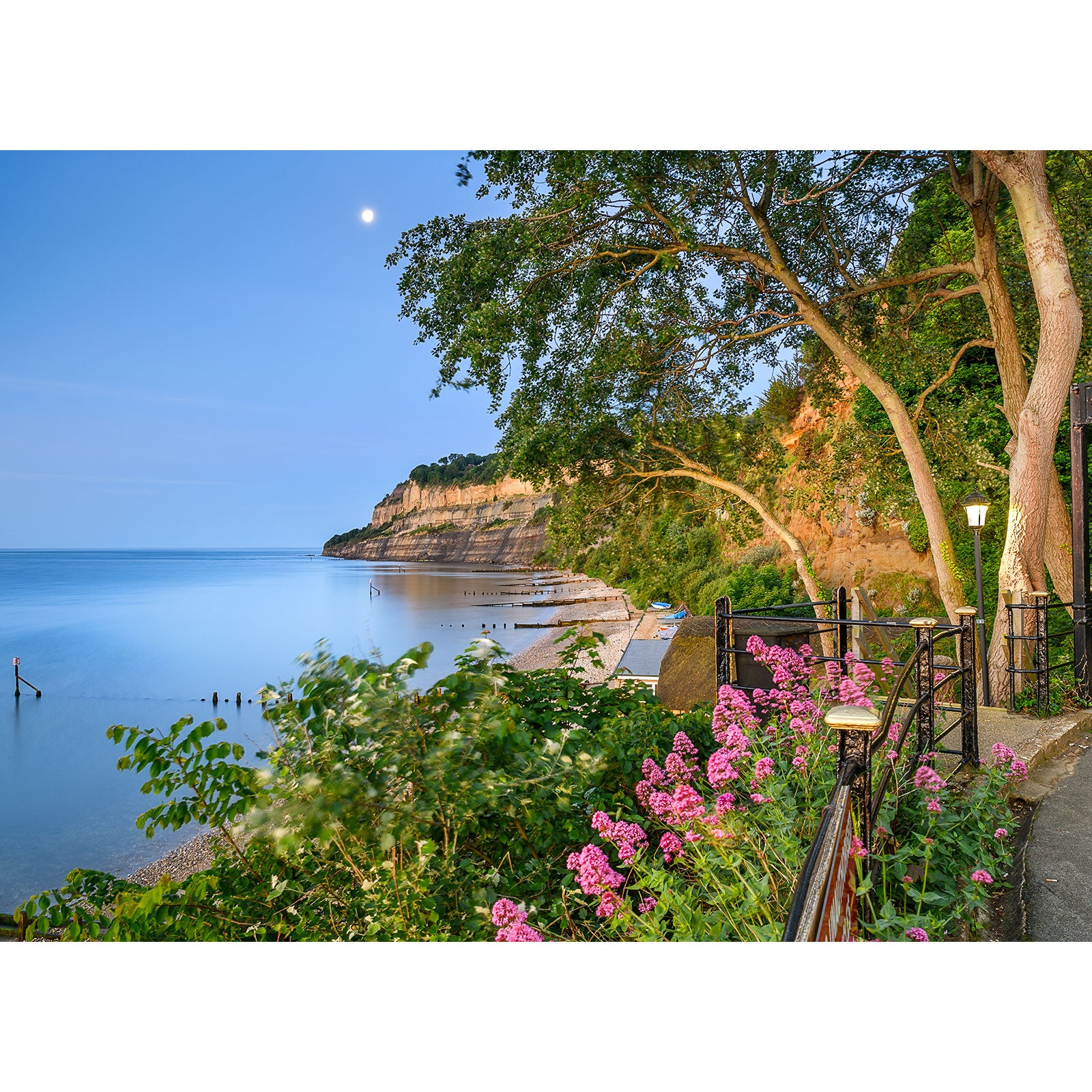 Tranquil coastal scene at twilight with a full moon over calm waters, framed by foliage and flowers, with a serene cliffside on Shanklin Beach in the background captured by Available Light Photography.
