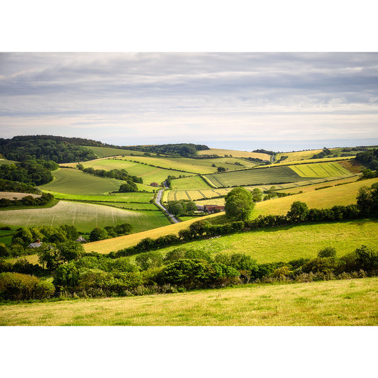 Rolling hills and agricultural fields with a winding road on the Bowcombe Valley countryside captured by Available Light Photography.