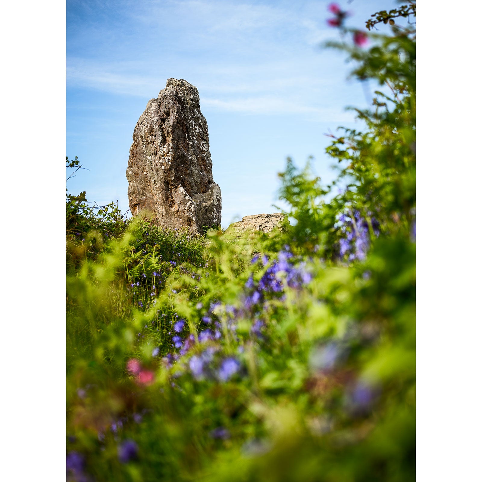 Large standing stone amidst greenery and wildflowers on the Isle under a blue sky, captured beautifully by Available Light Photography's The Longstone.