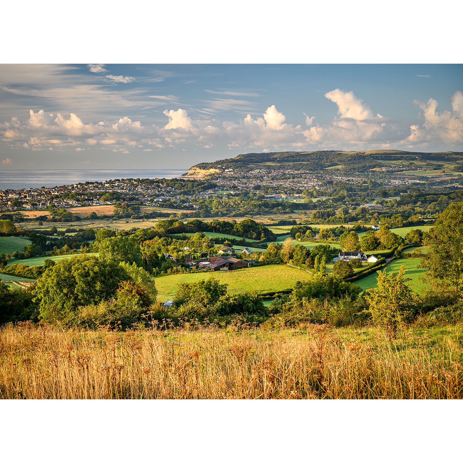 Rolling countryside with a view of a town and hills in the Gascoigne distance, like the View from Brading Downs by Available Light Photography.